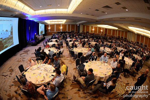 852 OMED 2016-Seminars