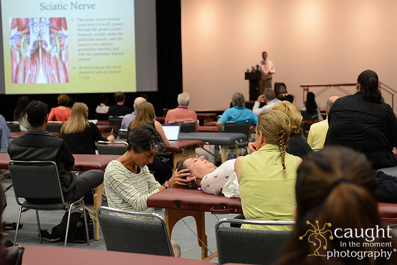 962 OMED 2016-Seminars