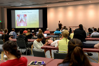 963 OMED 2016-Seminars