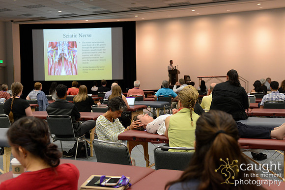 963 OMED 2016-Seminars