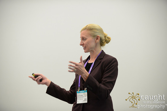 1084 OMED 2016-Seminars