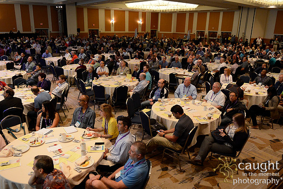 850 OMED 2016-Seminars