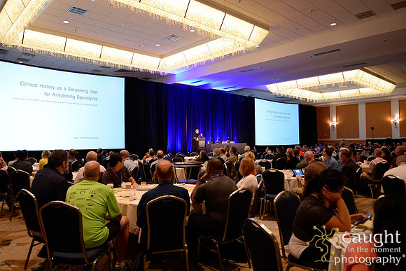 848 OMED 2016-Seminars