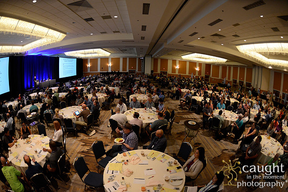 855 OMED 2016-Seminars
