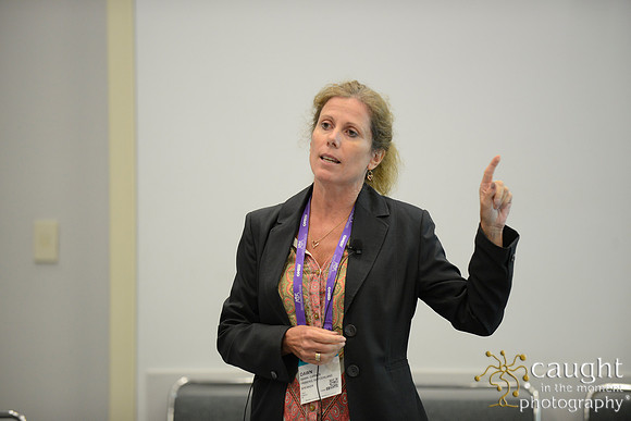 1073 OMED 2016-Seminars