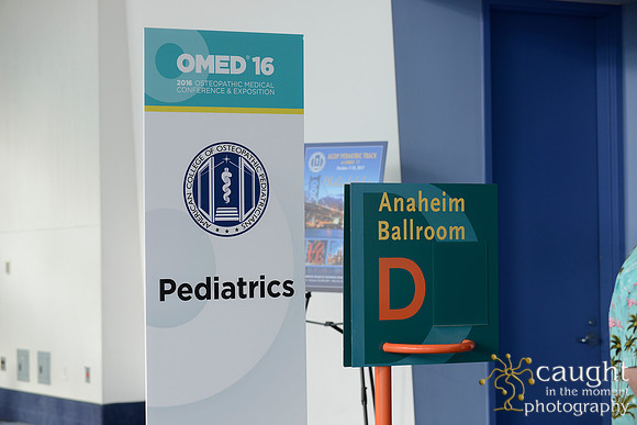 1038 OMED 2016-Seminars