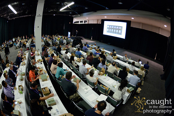 593 OMED 2016-Product Theaters
