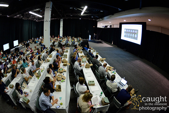 594 OMED 2016-Product Theaters