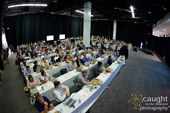 595 OMED 2016-Product Theaters
