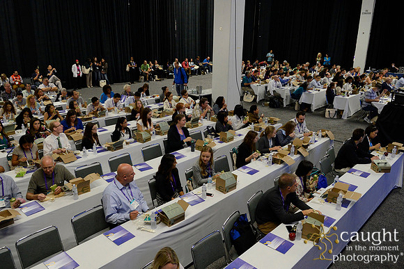 550 OMED 2016-Product Theaters