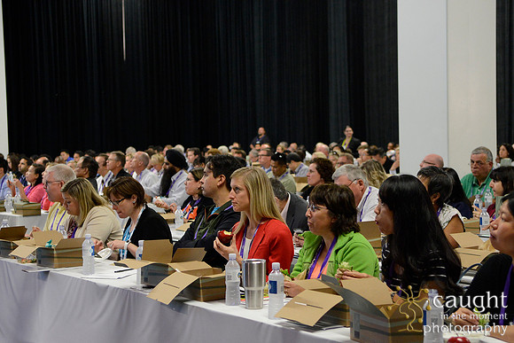 541 OMED 2016-Product Theaters