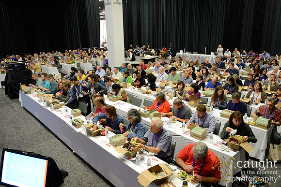 571 OMED 2016-Product Theaters
