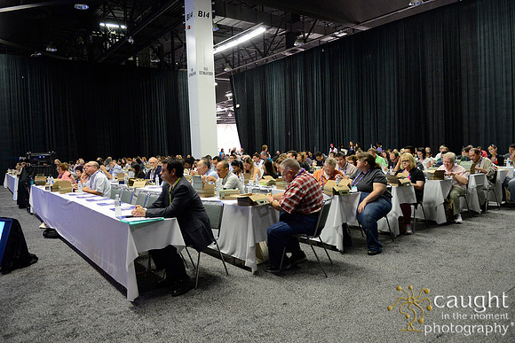 546 OMED 2016-Product Theaters