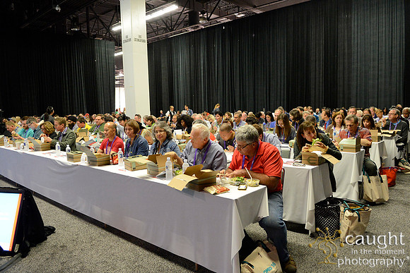 570 OMED 2016-Product Theaters