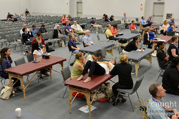 965 OMED 2016-Seminars