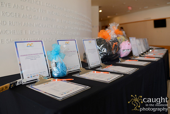 244 OCVA Tourism Conference 2016