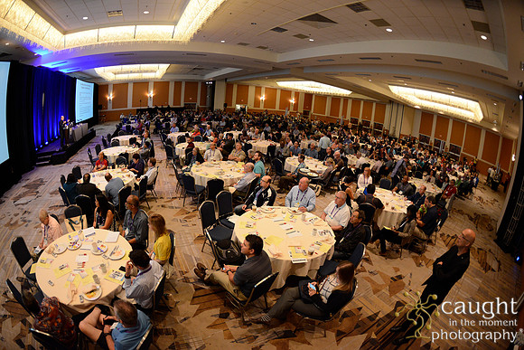 853 OMED 2016-Seminars