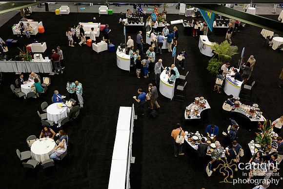 394 OMED 2016-OMED Central