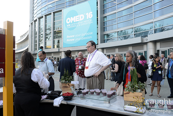 1203 OMED 2016-Festival