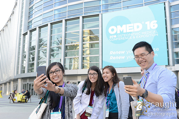 1224 OMED 2016-Festival