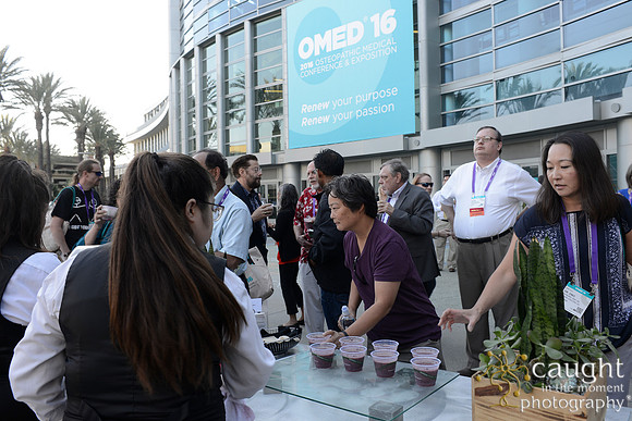1202 OMED 2016-Festival