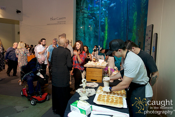 020 Sea Fare 2016
