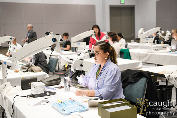 583 AAE 2024 in Los Angeles - Hand-On Sessions
