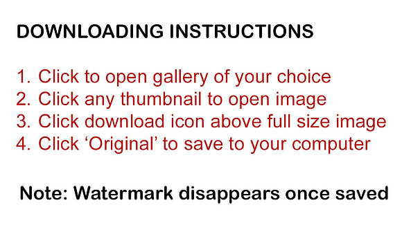 Downloading Instructions