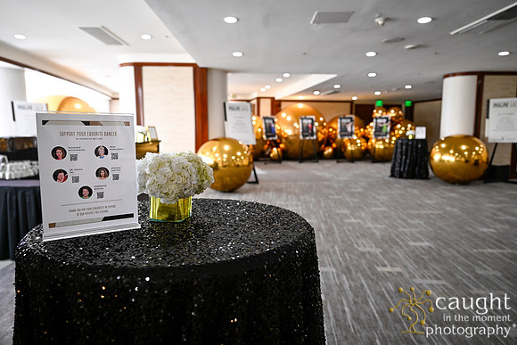 017 Imagine Gala 2024