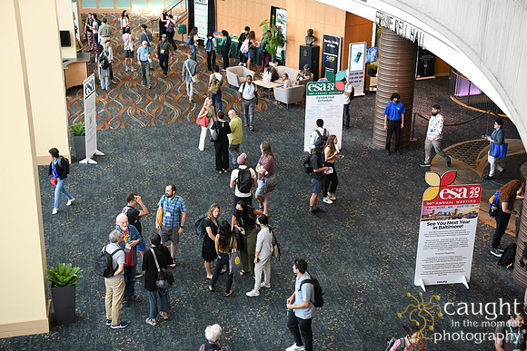 026 ESA 2024 in Long Beach