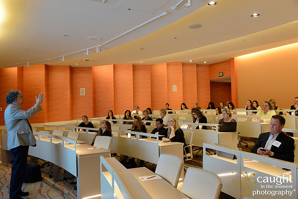 039 MPIOC November Workshop & Luncheon at Hotel Irvine