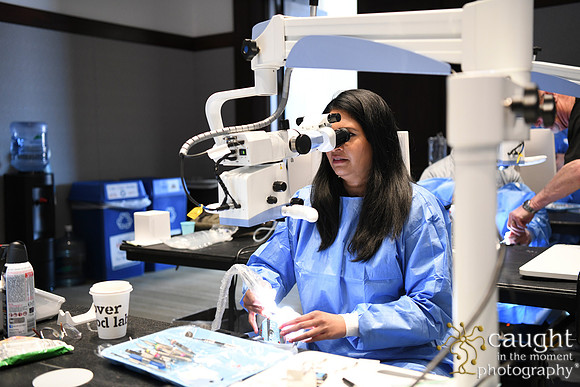 375 AAE 2025 in Boston - Hands-On Courses