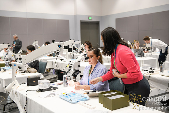 584 AAE 2024 in Los Angeles - Hand-On Sessions