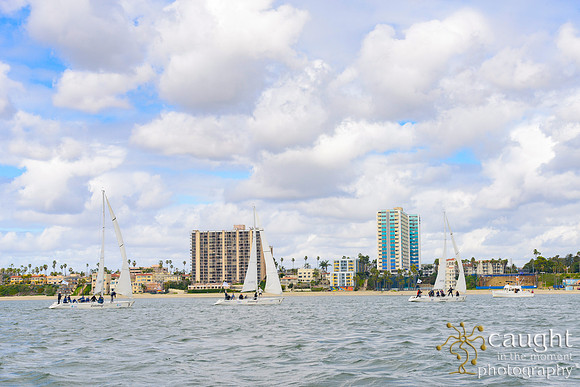 317 TPM24 Long Beach