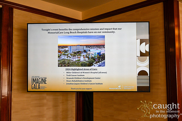 025 Imagine Gala 2024