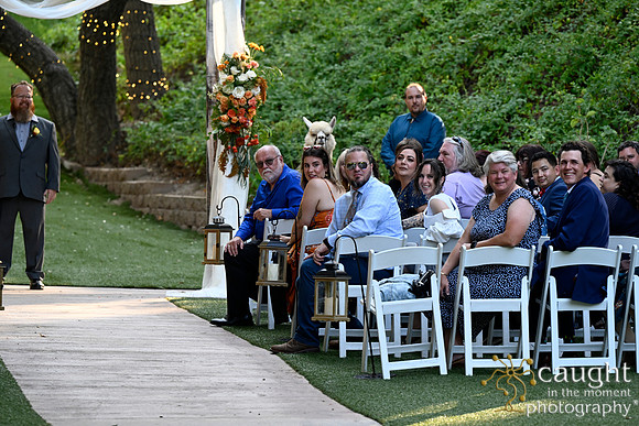 501 Chompff Wedding at Los Willows