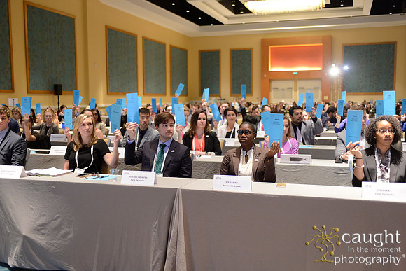 966 ASDA 2017 Annual Session Orlando