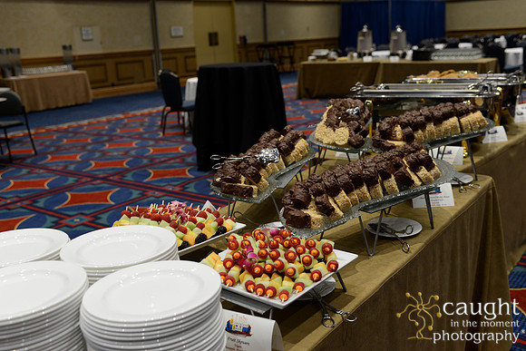 173 SVA 2017 Welcome Reception Panel