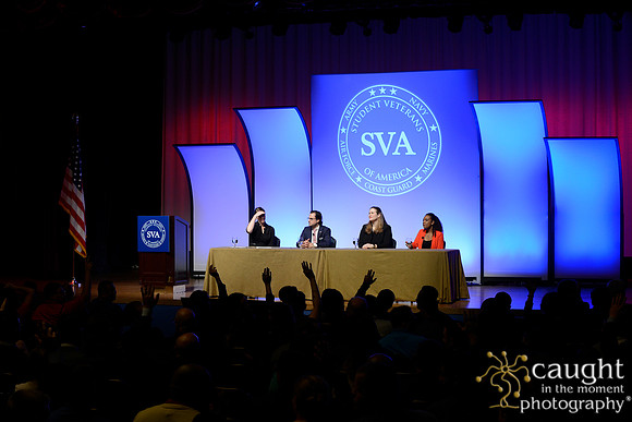 157 SVA 2017 Welcome Reception Panel