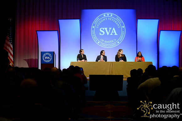 155 SVA 2017 Welcome Reception Panel