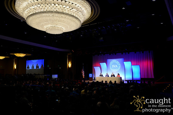 166 SVA 2017 Welcome Reception Panel
