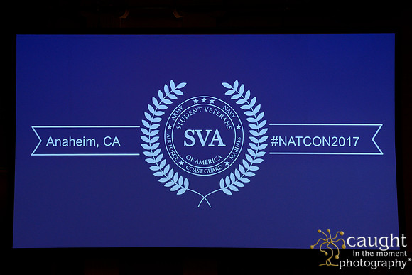 129 SVA 2017 Welcome Reception Panel