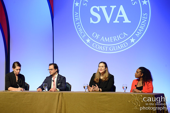 148 SVA 2017 Welcome Reception Panel