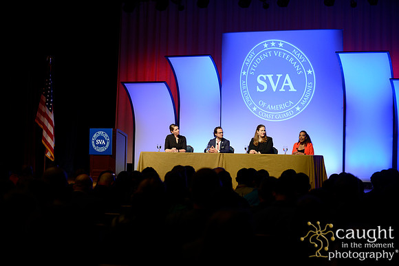 154 SVA 2017 Welcome Reception Panel