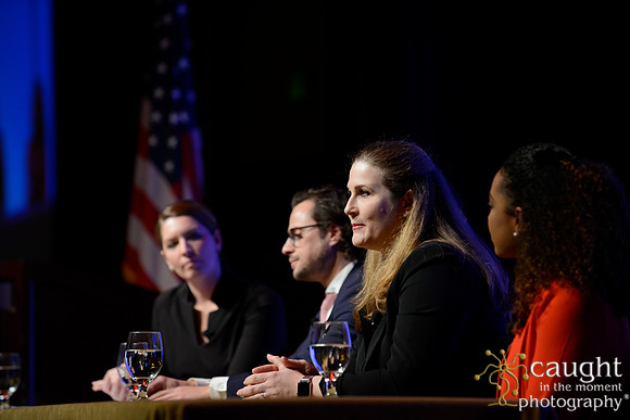 163 SVA 2017 Welcome Reception Panel
