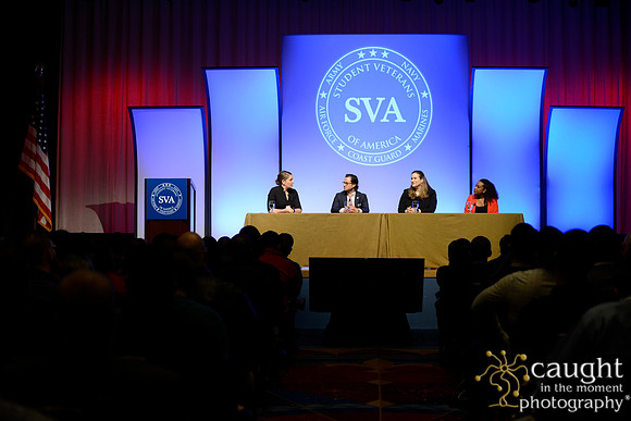 156 SVA 2017 Welcome Reception Panel
