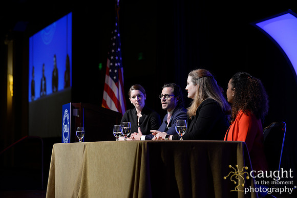 159 SVA 2017 Welcome Reception Panel