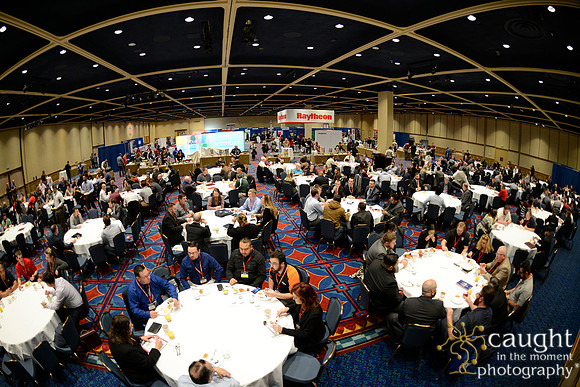 189 SVA 2017 SVA Campus