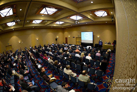 517 SVA 2017 Breakout-NVEST Report