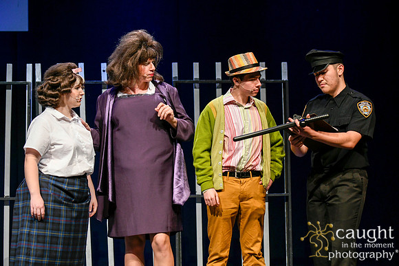 306 HAIRSPRAY2020LBPHS